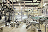 meat processing industry